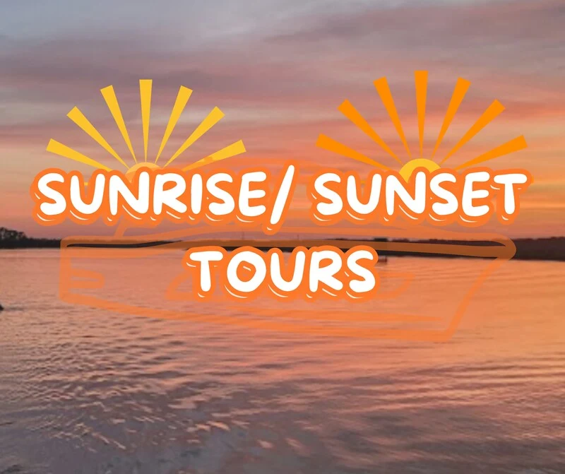 Book Now